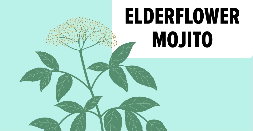Elderflower mojito